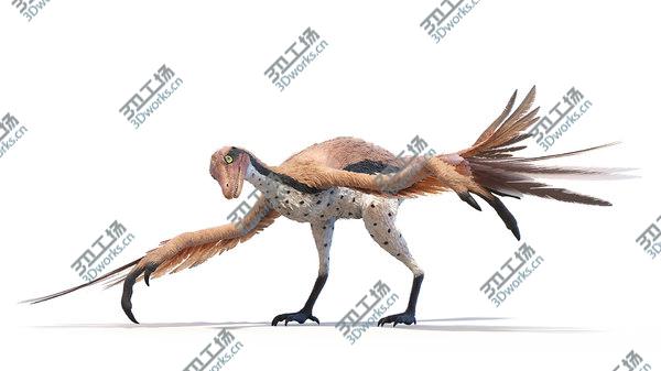images/goods_img/20210312/Archaeopteryx Animated 3D/5.jpg